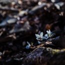 바람난 가족 이미지