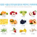 향스토리 이미지