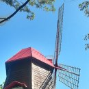 봄볕내리는날 이미지