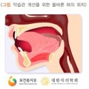 얼굴형이 바뀐다는, 올바른 혀의 위치 이미지