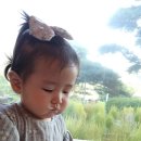 역마차 카페 이미지