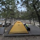 동해수산 50번 | 망상오토캠핑리조트 망상제2오토캠핑장 후기(32번데크) : 묵호항 주변 캠핑 (코오롱에어로라이트4)