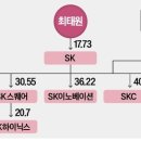 ﻿셈법 복잡한 SK…지주사 지분 매각은 안할 듯 이미지