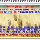 ‘추수감사절’대신에 ‘대강절 감사’로! 이미지