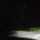 바이크애견 이미지