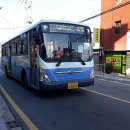 감천2동-11 이미지