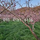 하이그린 농장 이미지