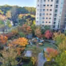 그린공인중개사 이미지