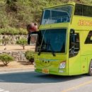 아리랑열차 연계형 시티투어2 이미지