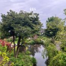 예림원 | 울릉도 가볼만한곳 식물원 예림원 후기 (비 오는 날 방문)