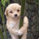 우드힐펜션 이미지