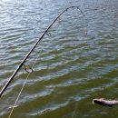 유정낚시터 이미지