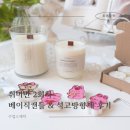 바다 품은 석고 방향제 | 비누캔들 나만의 취미반 2회차 베이직캔들 석고방향제 수업후기 화성 동탄 수원 용인 오산 공방