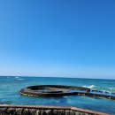 그여름애월바다 이미지