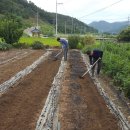 들녘농장 이미지