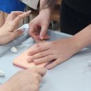 비에이치에스(BHS) 이미지