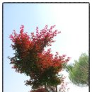 태인농장2 이미지