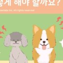 호계동물병원 이미지