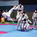 그린나래 태권도 시범단 | 제33회 경희대학교 총장기 전국 남·여 고등학교 태권도대회 성료