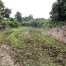 신풍보건진료소 이미지