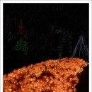 스머프팜 이미지