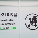 SM펫살롱 이미지