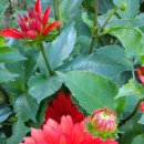 관악산현대홈타운 이미지