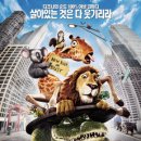 와일드인터내셔널 이미지