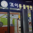 조이동물병원 제니스점 | 일산동물병원 조이동물병원 제니스점 탄현역 근처 동물병원
