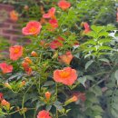 서울미치과 이미지