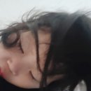 사지목나무그늘 이미지