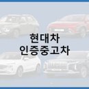 내차처럼 이미지