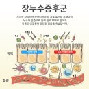 윤진약국 | 수지구 윤진약국에는 팜스 트윅스체인지가 준비되어 있습니다.