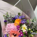 파크 블러썸 이미지