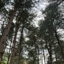 가평자연민박 | 아이와 가기 좋은 가평 목동 캠핑장, 계곡·평상·방갈로 후기