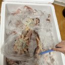 크라운호프 평거점 | 4월 어느주말 1