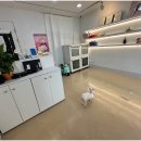 부티나개 이미지