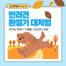 삼성펫클리닉 이미지