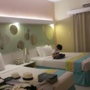 엠알렌트카여행사 이미지