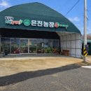 은진농장 네이버블로그