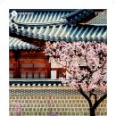 경희궁 이미지