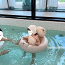 백야스테이 이미지