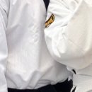 청주성인태권도 이미지