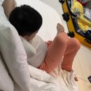 지퍼모텔 | 5살 아이랑 단둘이 부산여행 1,2일차 아몬드호텔,씨라이프부산아쿠아리움,해목 해운대점