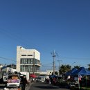 세화오일시장 | 제주 동쪽의 오일장, 세화 민속오일시장 &amp; 모모장 방문 후기