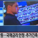 펫코앤컴퍼니