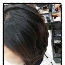 한스헤어 이미지