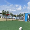 도그반하다 이미지