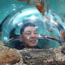 민물고기전시관 이미지