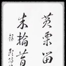 남愛머리